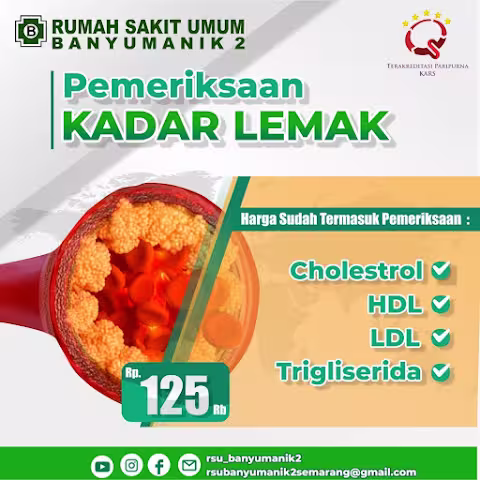 Pemeriksaan Kadar Lemak RSU Banyumanik 2